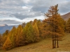 bonetto4
