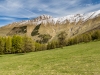_MG_9634