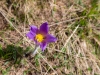 _MG_9658