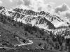 _MG_9663-2