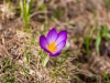 _MG_9674