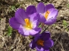 dscf1151