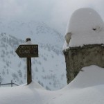 Neve..
