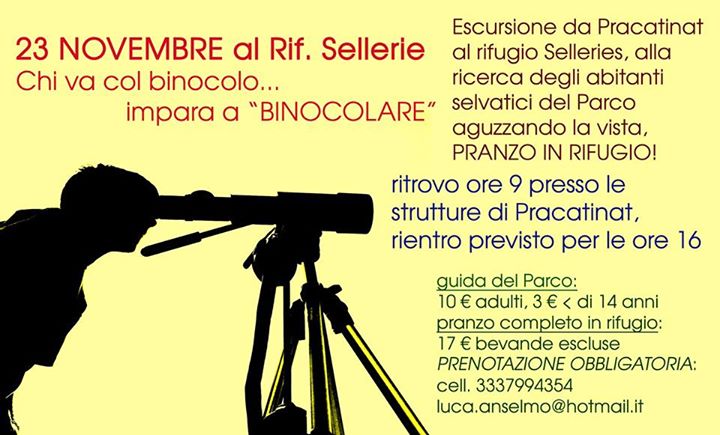 luca anselmo. sabato 23 novembre 2014