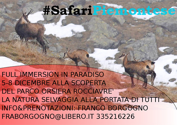 safaripiemontese